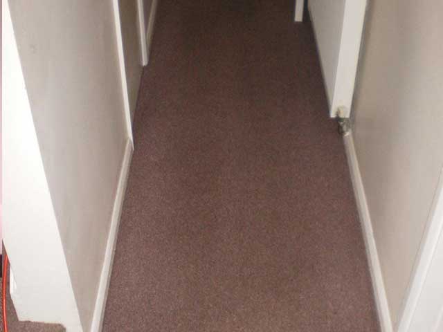 Hallway carpet after cleaning