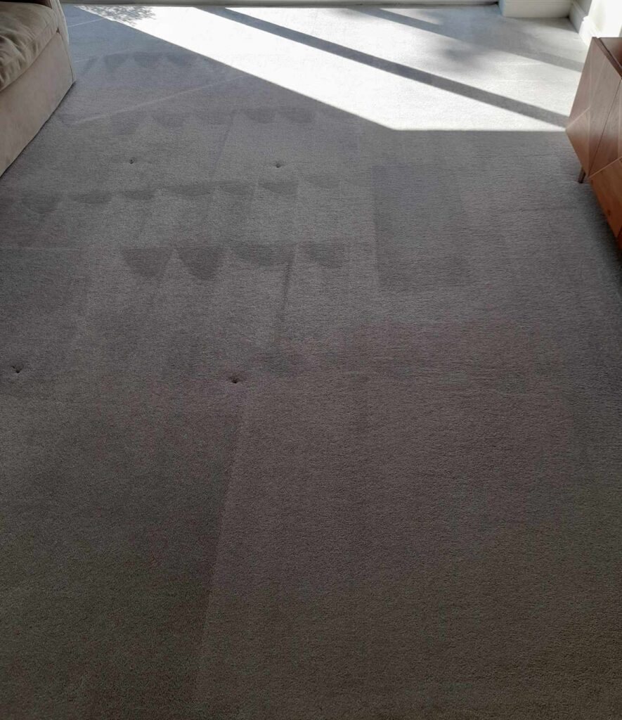 our professional carpet cleaning in progress on this stained carpet