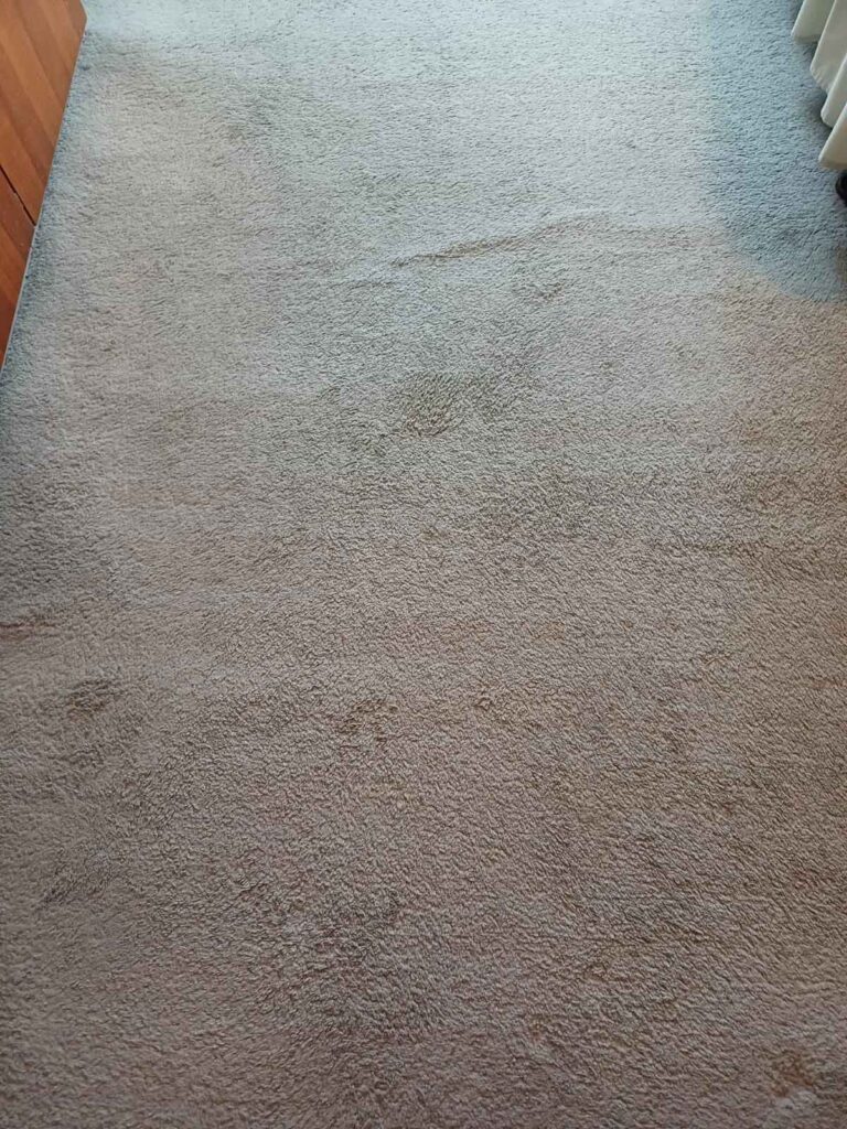 dirty carpet before our professnioal carpet cleaning