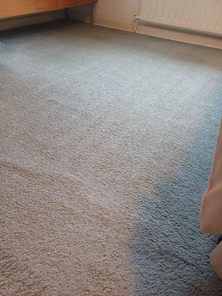 carpet is vacuumed cleaned in a cross hatch pattern 