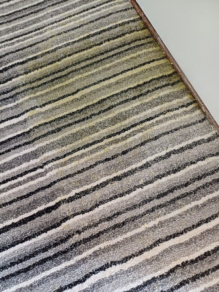vomit stained carpet - before professional carpet cleaning